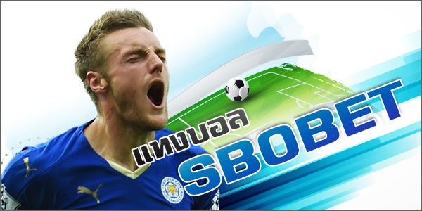 แทงบอลสด sbobet